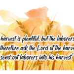 The Third Sunday after Pentecost
